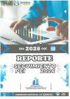 Vista preliminar de documento REPORTE-SEGUIMIENTO PEI - POI 2024