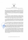 Vista preliminar de documento RESOLUCION GERENCIAL REGIONAL 528-2025