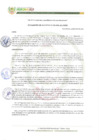 Vista preliminar de documento RESOLUCIÓN DE ALCALDÍA N° 038-2025-ALC-MDH