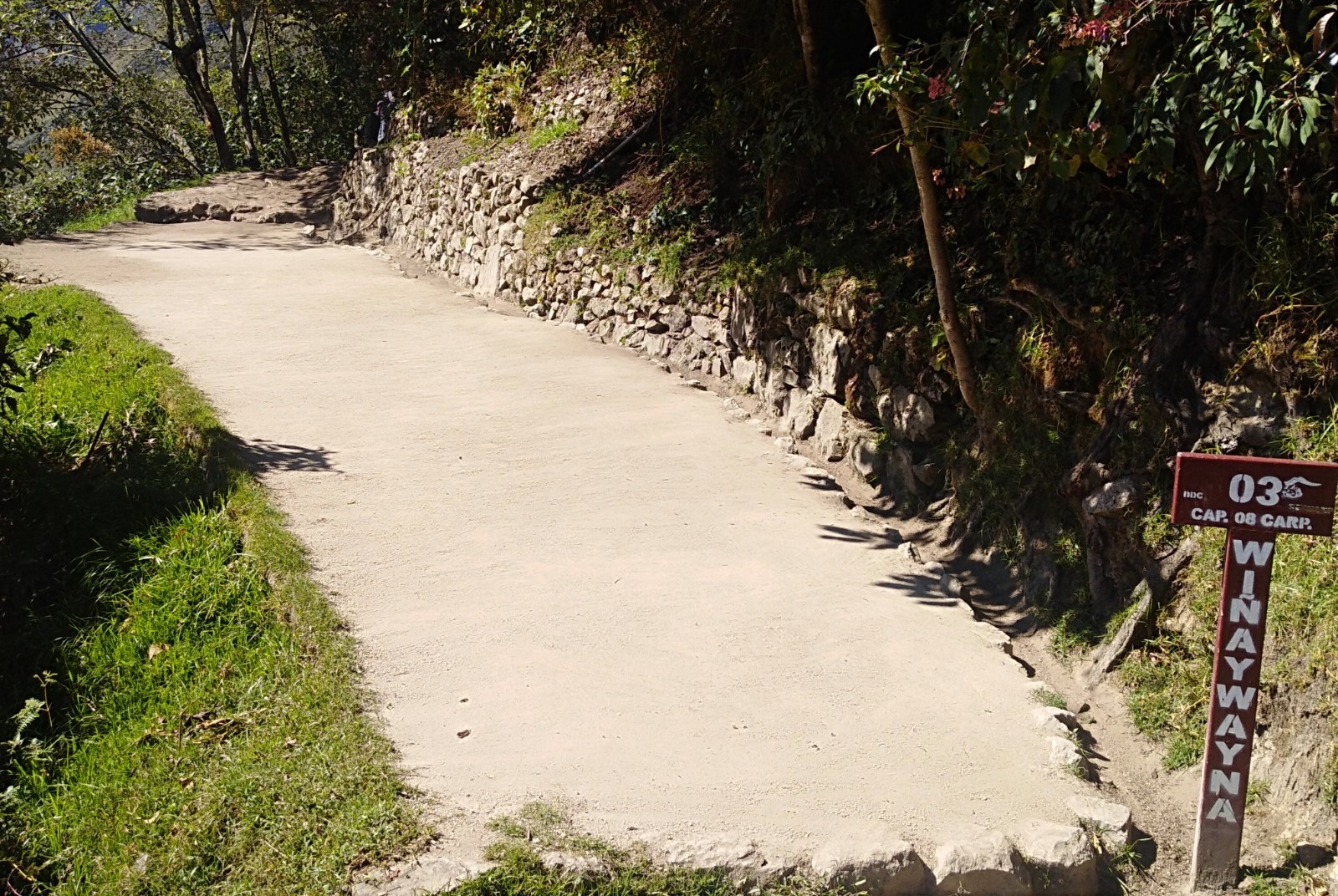 Wiñaywayna