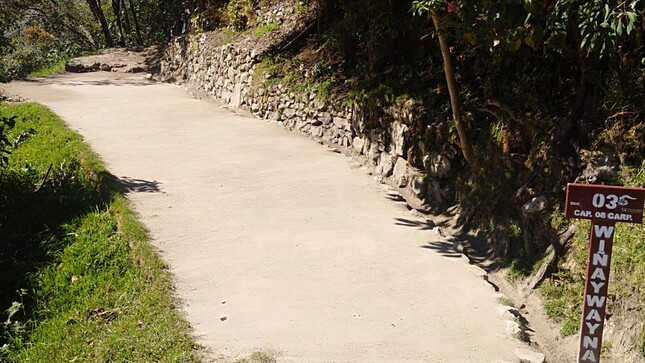 Wiñaywayna