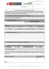 Vista preliminar de documento Formulario P-1