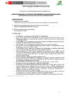 Vista preliminar de documento POCESO  CAS 044 -2025-BASES CONCURSO