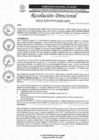 Vista preliminar de documento R.D N°0771-2025-DIRESA-OGESS-HC DG