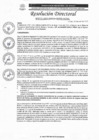 Vista preliminar de documento R.D N°0772-2025-DIRESA-OGESS-HC DG