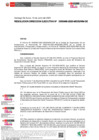 Vista preliminar de documento RDE-000466-2025-DE