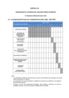 Vista preliminar de documento CRONOGRAMA DEL CONCURSO PUBLICO DE MERITOS 002 - DL 1057