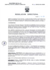 Vista preliminar de documento RD N°143-2025-SA-DG-HNSEB- RECTIFICAR ERROR MATERIAL DE LA RESOLUCIÓN DIRECTORAL N°138-2025-SA-DG-HNSEB.