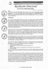 Vista preliminar de documento R.D N°0776-2025-DIRESA-OGESS-HC DG