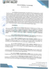 Vista preliminar de documento RG 029-2025-MDI-GM