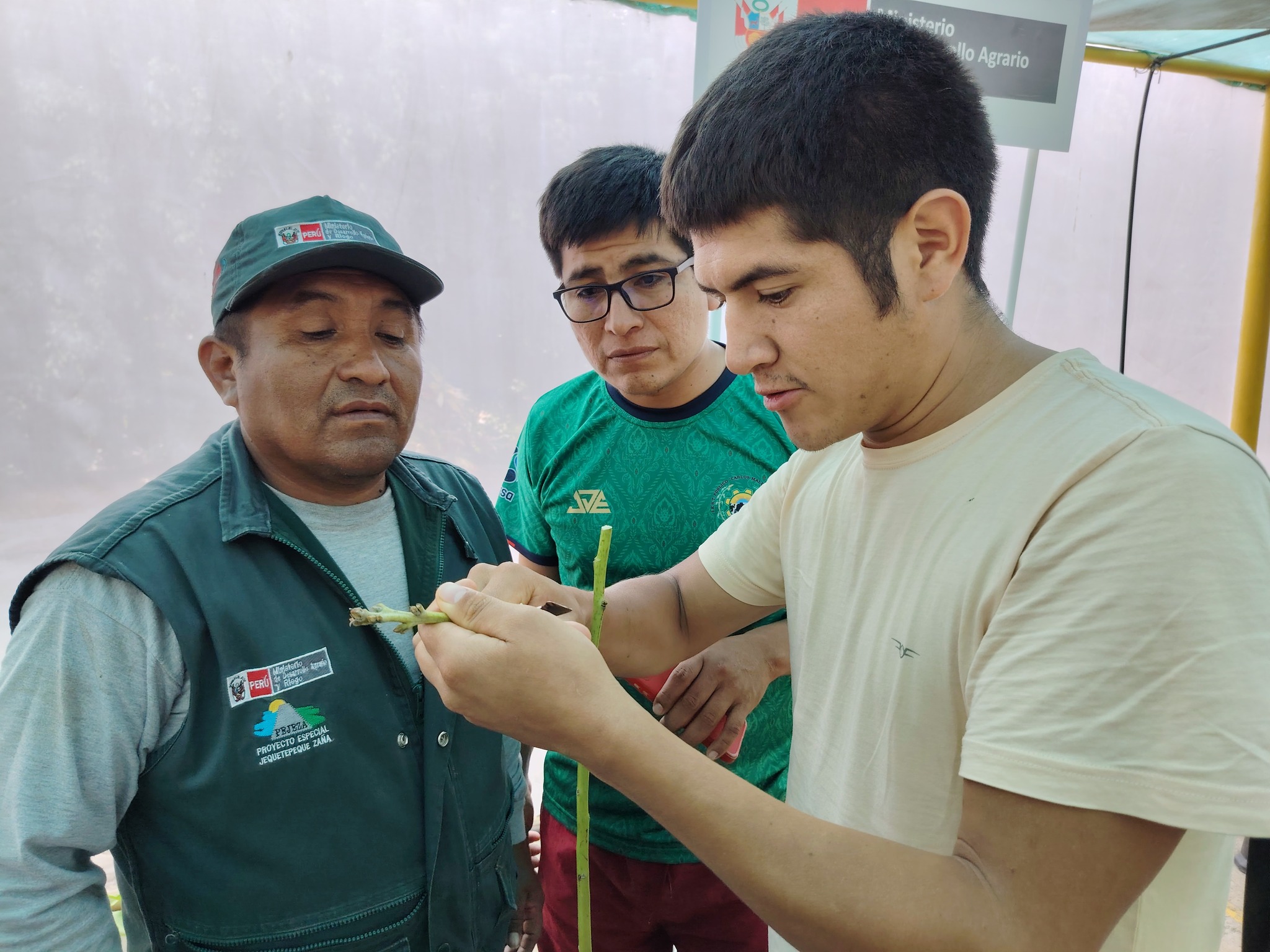 ¡Capacitación que siembra futuro!