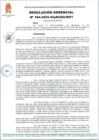 Vista preliminar de documento R G 184-2025-GLyDURA-MDT