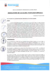 Vista preliminar de documento Resolución de Alcaldía N°209-2025-MPH-ALC