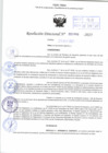 Vista preliminar de documento R.D N° 1009-2025