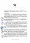 Vista preliminar de documento 113