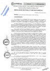 Vista preliminar de documento RES.RECT. N°  0485-2025-UNHEVAL