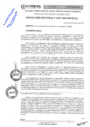 Vista preliminar de documento RES.RECT. N°  0487-2025-UNHEVAL