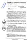 Vista preliminar de documento RES.RECT. N°  0489-2025-UNHEVAL