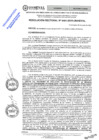 Vista preliminar de documento RES.RECT. N° 0491-2025-UNHEVAL
