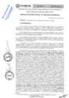 Vista preliminar de documento RES.RECT. N° 0493-2025-UNHEVAL