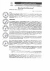 Vista preliminar de documento R.D N°0870-2025-DIRESA-OGESS-H DG
