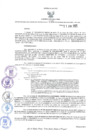 Vista preliminar de documento DGC. 135