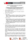 Vista preliminar de documento TDR