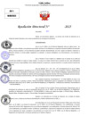 Vista preliminar de documento Resolucion Directoral N° 003451-2025