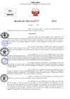 Vista preliminar de documento Resolucion Directoral N° 003452-2025