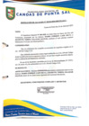 Vista preliminar de documento Resolución de Alcaldía N° 0102-04-2025-MDCPS-ALC