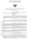 Vista preliminar de documento RESOLUCION DIRECTORAL N° 004239-2025-GR.LAMB/GRED-UGEL.CHIC