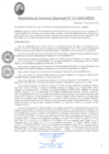 Vista preliminar de documento RGM217-2025