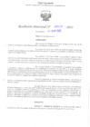 Vista preliminar de documento RD-UGEL-SURCUBAMBA-2025-000329