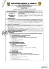 Vista preliminar de documento TDR N 2022