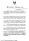 Vista preliminar de documento RD 0088-2025-MINEM-DGE