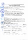 Vista preliminar de documento Acta de reunion de equipo tecnico