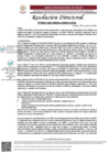 Vista preliminar de documento R.D N°0903-2025-DIRESA-OGESS-HC DG