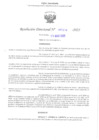 Vista preliminar de documento RD-UGEL-SURCUBAMBA-2025-000338