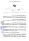 Vista preliminar de documento RD 1785-2025 NX