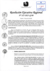 Vista preliminar de documento RER 325-2025-GOB
