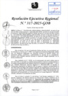 Vista preliminar de documento RER 317-2025-GOB