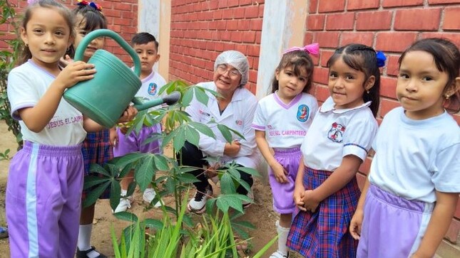 Servicio de alimentación escolar