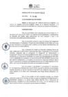 Vista preliminar de documento RES-2025-215-ALC/MSI	