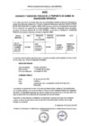 Vista preliminar de documento AVISO