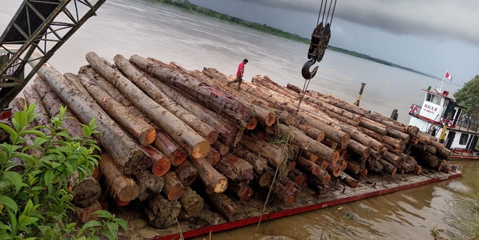 En Pebas, Gerfor Mariscal Ramón Castilla realiza operativo de control forestal fluvial.