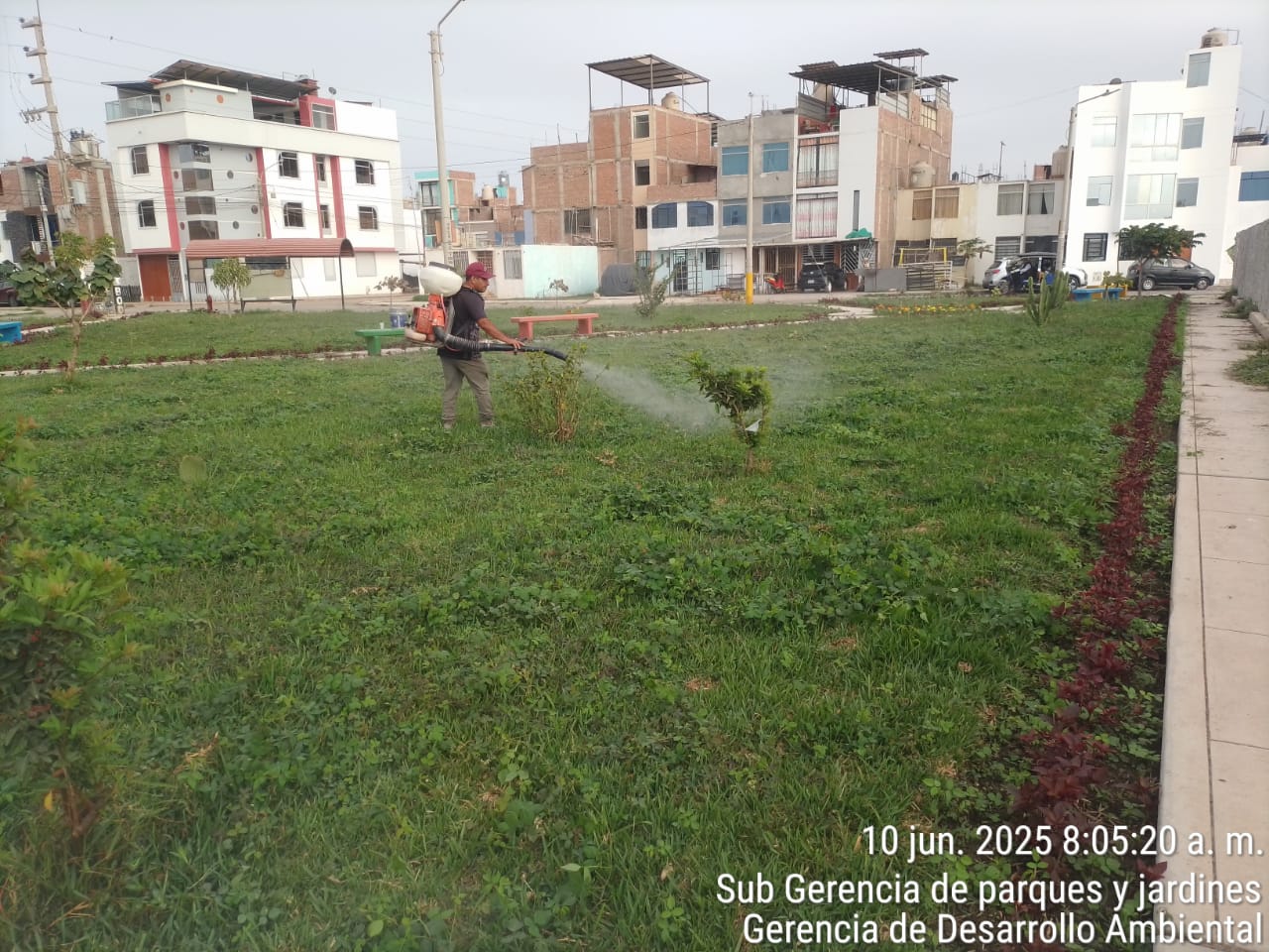 fumigación contra las malas hierbas de los parques y áreas verdes