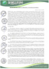 Vista preliminar de documento Resolucion-Gerencia-Municipal-343-2025-GM-MDQ-LC