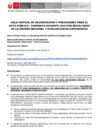 Vista preliminar de documento SALAS-VIRTUALES-DE-ADJUDICACION-Y-PRECISIONES-PARA-EL-ACTO-PUBLICO-XIV