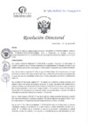 Vista preliminar de documento RD N°192-06-2025-DE-HCLLH-MINSA