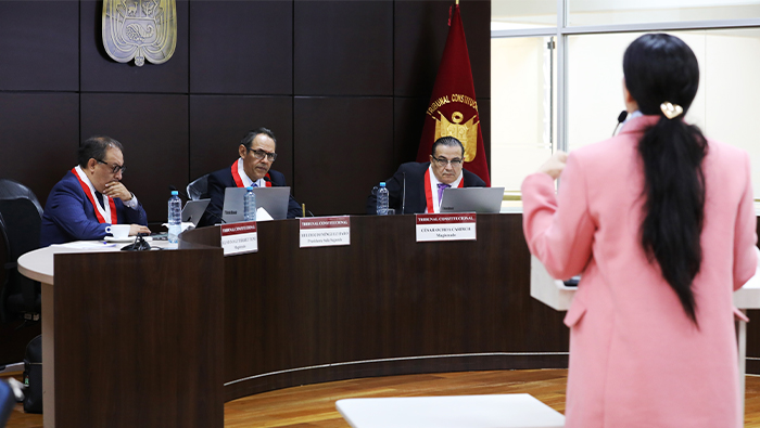 Sala Segunda del TC sesionó en audiencia pública y tras escuchar los informes orales de los abogados dejó al voto 50 causas